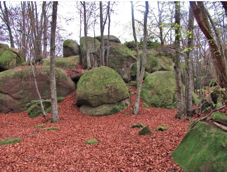 URIA-ENCANTADES-FOTO