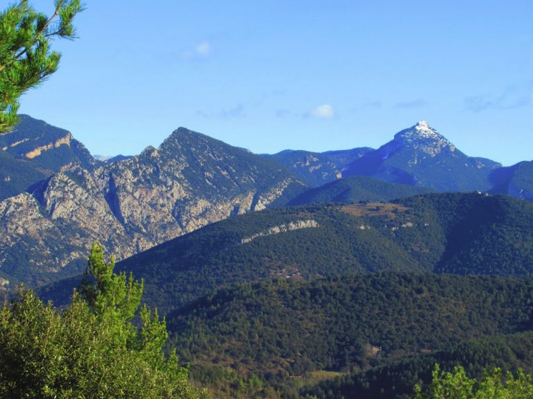 BUNDANCI-MONTPETIT-foto