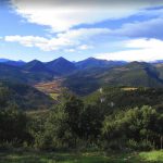 BUNDANCIA-PRUNERAS-PRUAN-FOTO