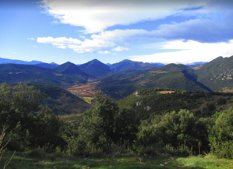 BUNDANCIA-PRUNERAS-PRUAN-FOTO