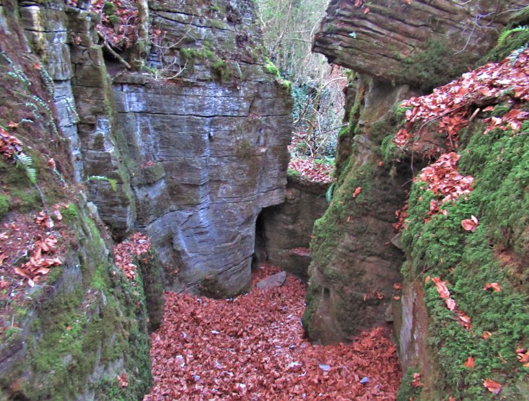 ESCLETXES-FREIXENEDA-foto