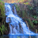 GORGUES-SANTA-PAU-FOTO