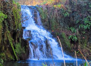 GORGUES-SANTA-PAU-FOTO
