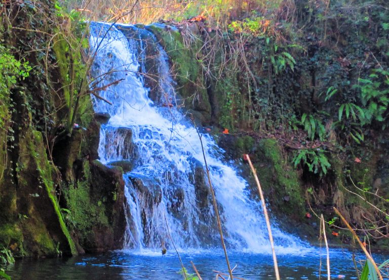 GORGUES-SANTA-PAU-FOTO