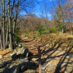 OIX-ROMEGURES-COLL-BESTRACA-FOTOS