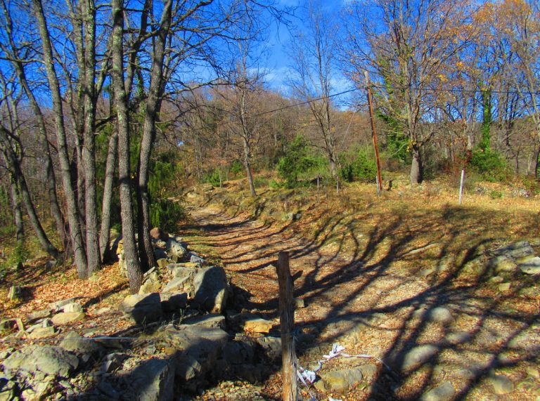 OIX-ROMEGURES-COLL-BESTRACA-FOTOS