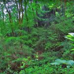 HOSTALETS-BAGA-MIQUEL-FOTOS