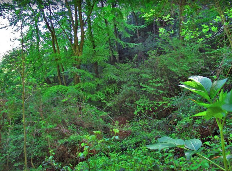 HOSTALETS-BAGA-MIQUEL-FOTOS