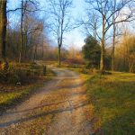 JOANETES-MALA-COSTA-FOTO