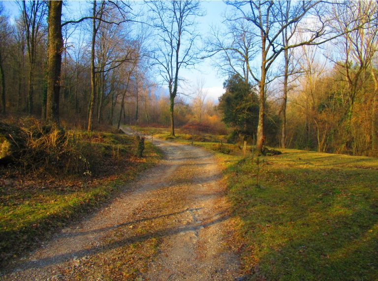 JOANETES-MALA-COSTA-FOTO