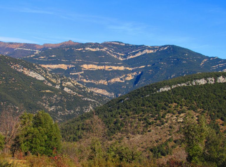 OIX-BARBARA.AGUSTI-FOTOS