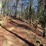 SANT-MIQUEL-OCCIDENTAL-FOTO