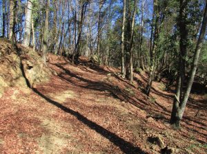 SANT-MIQUEL-OCCIDENTAL-FOTO