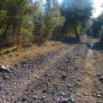 SERRA-CONTELLER-foto