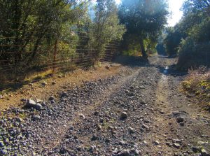 SERRA-CONTELLER-foto