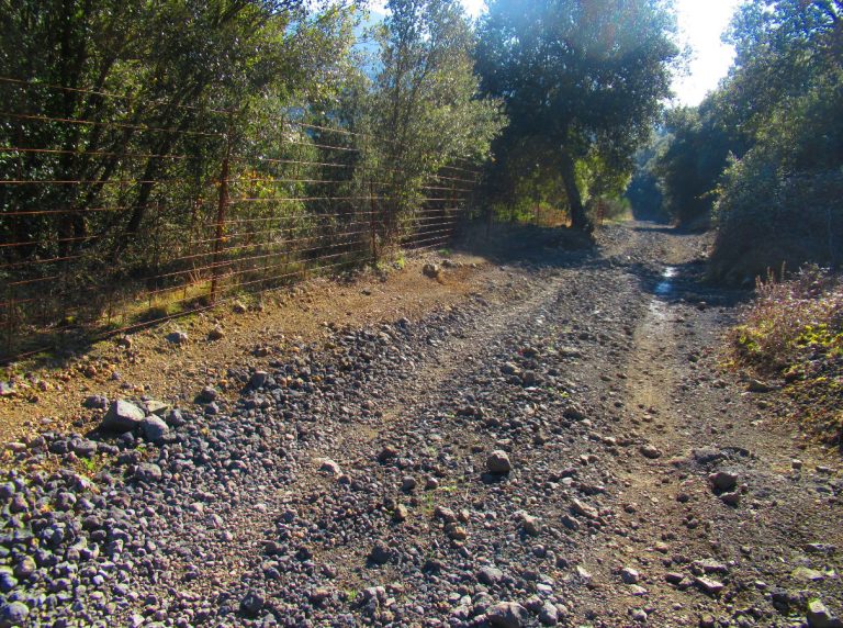 SERRA-CONTELLER-foto