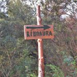 BOSQUES-RIUDAURA-FOTO