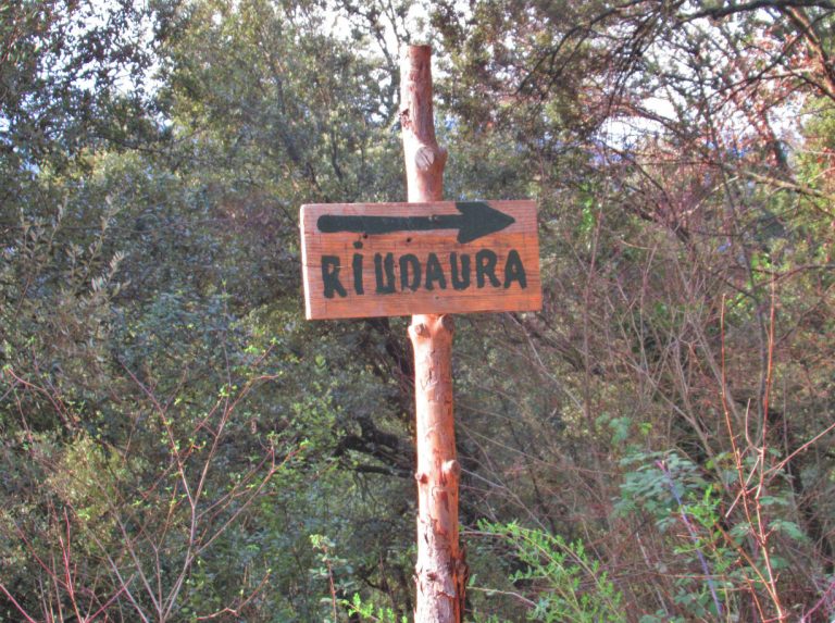 BOSQUES-RIUDAURA-FOTO