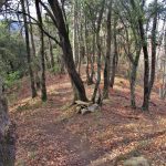 RIUDAURA-COUBET-FOTO