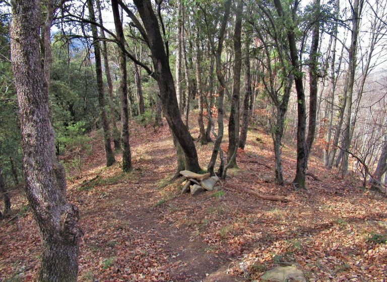 RIUDAURA-COUBET-FOTO