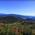 XEL-COLLTORT-POBRA-FOTO