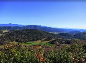 XEL-COLLTORT-POBRA-FOTO