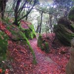 PAU-MARRADES-SALLANCA-FOTO