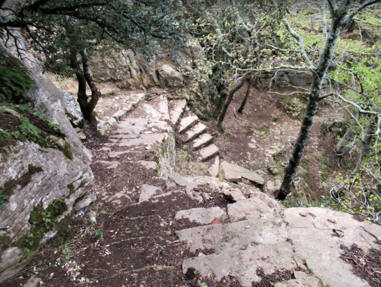PAU-SALLANCA-CASTELL-FOTO