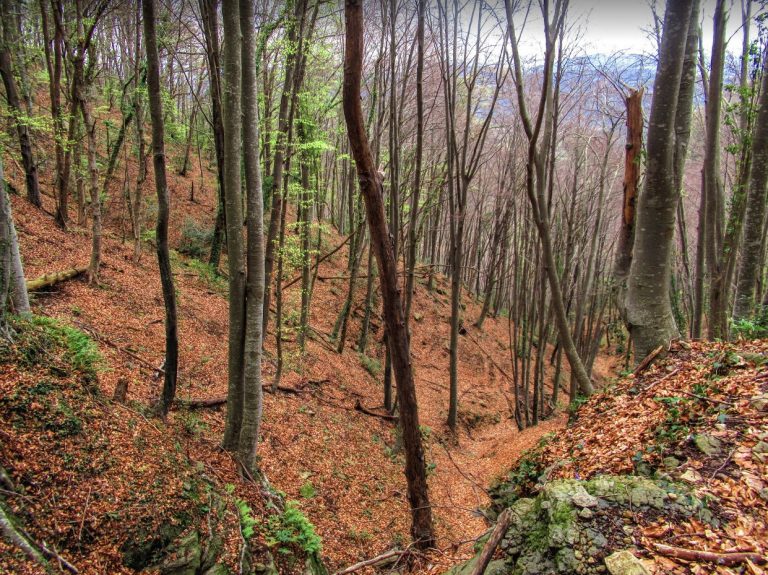 SANTA-PAU-SERRA-FONT-POBRA-FOTO