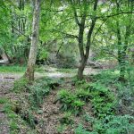 JOAN-AIGUANEGRA-FOTO