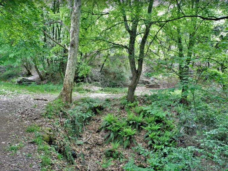 JOAN-AIGUANEGRA-FOTO