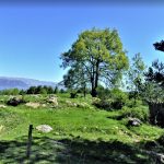 SERRAT-POLLASTRE-foto