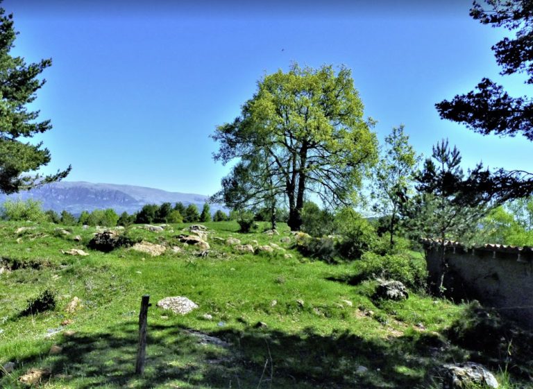 SERRAT-POLLASTRE-foto