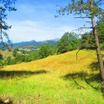 SALVADOR-PAU-ROMA-FOTOS