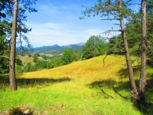 SALVADOR-PAU-ROMA-FOTOS