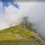 catllar-pastiura-foto