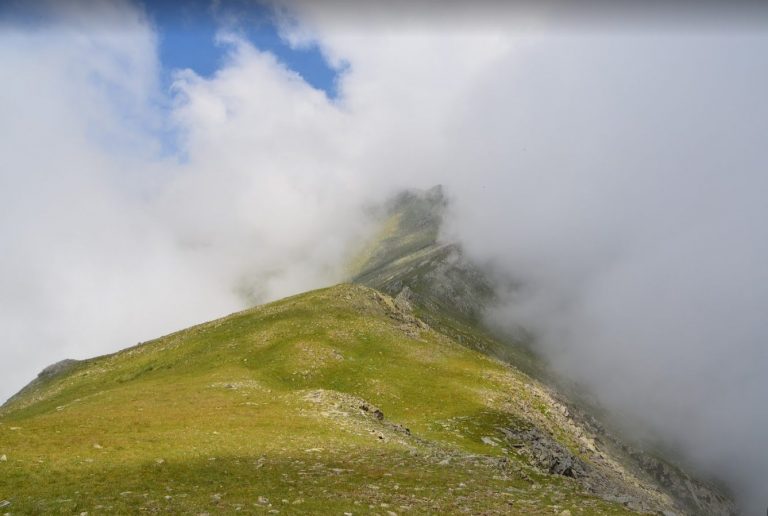 catllar-pastiura-foto