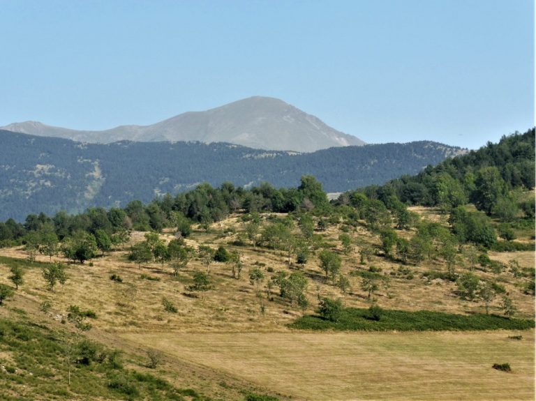 CAMPRODON-ASCENSIO-2-FOTO