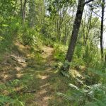 CAMPRODON-PLA-COLLET-BOIXEDA-FOTO