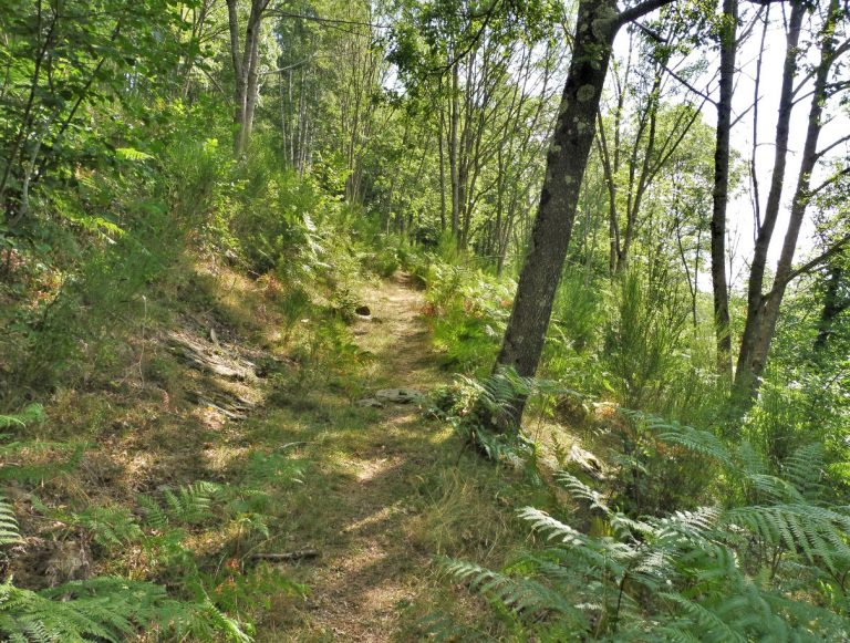 CAMPRODON-PLA-COLLET-BOIXEDA-FOTO