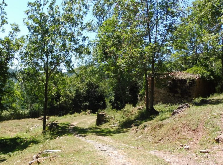 CAMRODON-FREIXENET-NABAR-FOTO