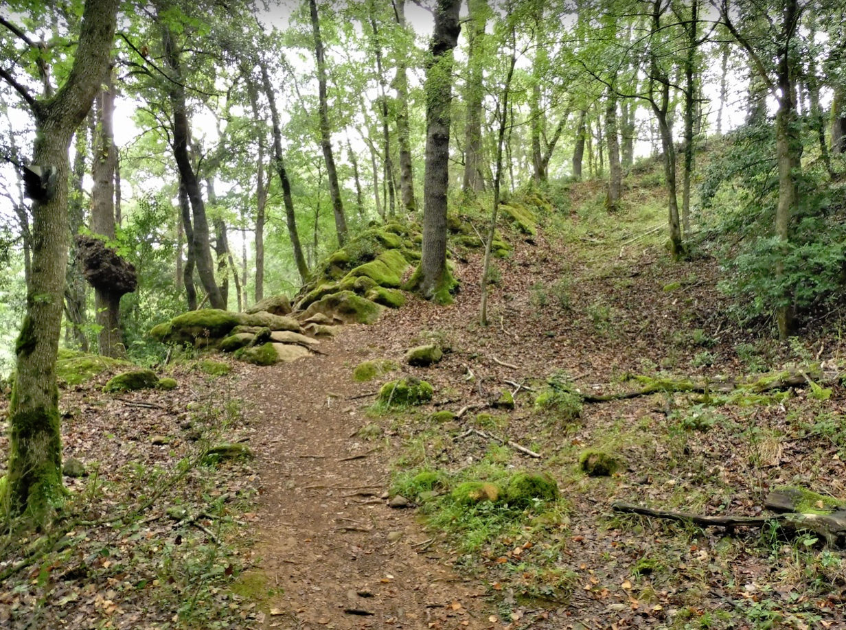 OLOT-AIGUNEGRA-FOTO