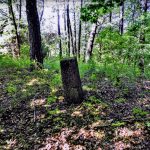 PUIG DE LES TRES FONTS