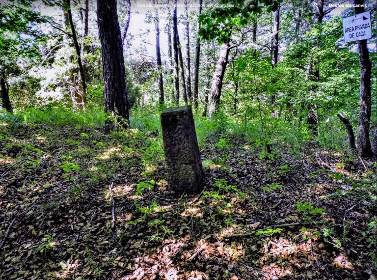 PUIG DE LES TRES FONTS