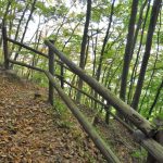 CORB-BARRINCOLES-FOTO