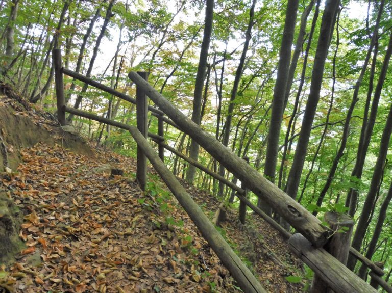 CORB-BARRINCOLES-FOTO