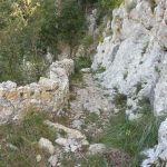 OIX-PAS-LIBERALS-FOTO