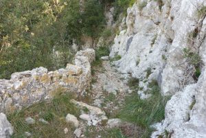 OIX-PAS-LIBERALS-FOTO