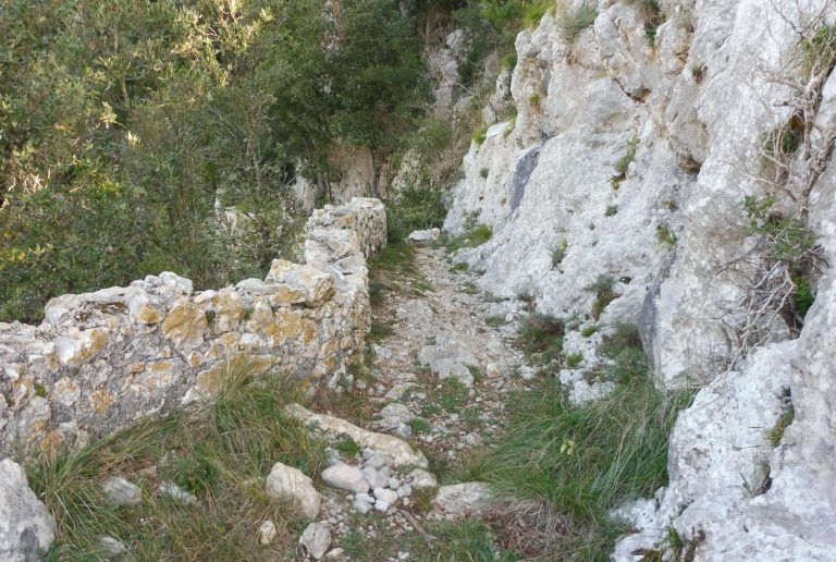 OIX-PAS-LIBERALS-FOTO