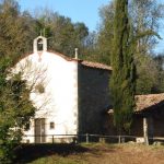 CALCINA-GATONERA-FOTO